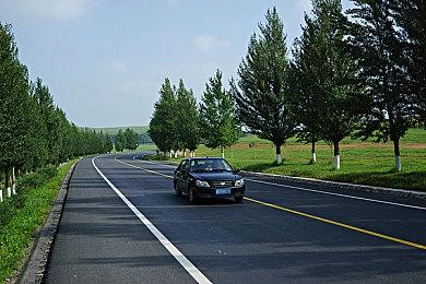 创意柴犬引导世界游戏《Humanity》steam免费发布