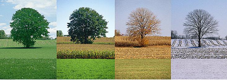 《行尸走肉》系列全15部游戏打包促销 其中包括VR版